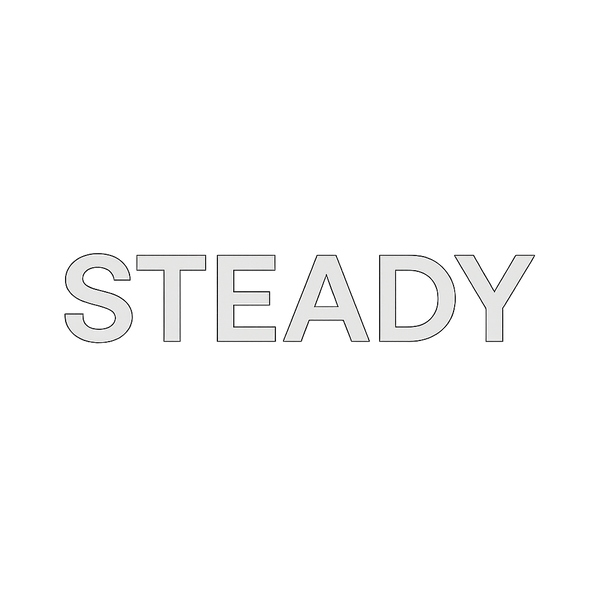 Steady Official Store